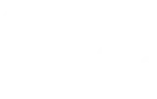 NOU